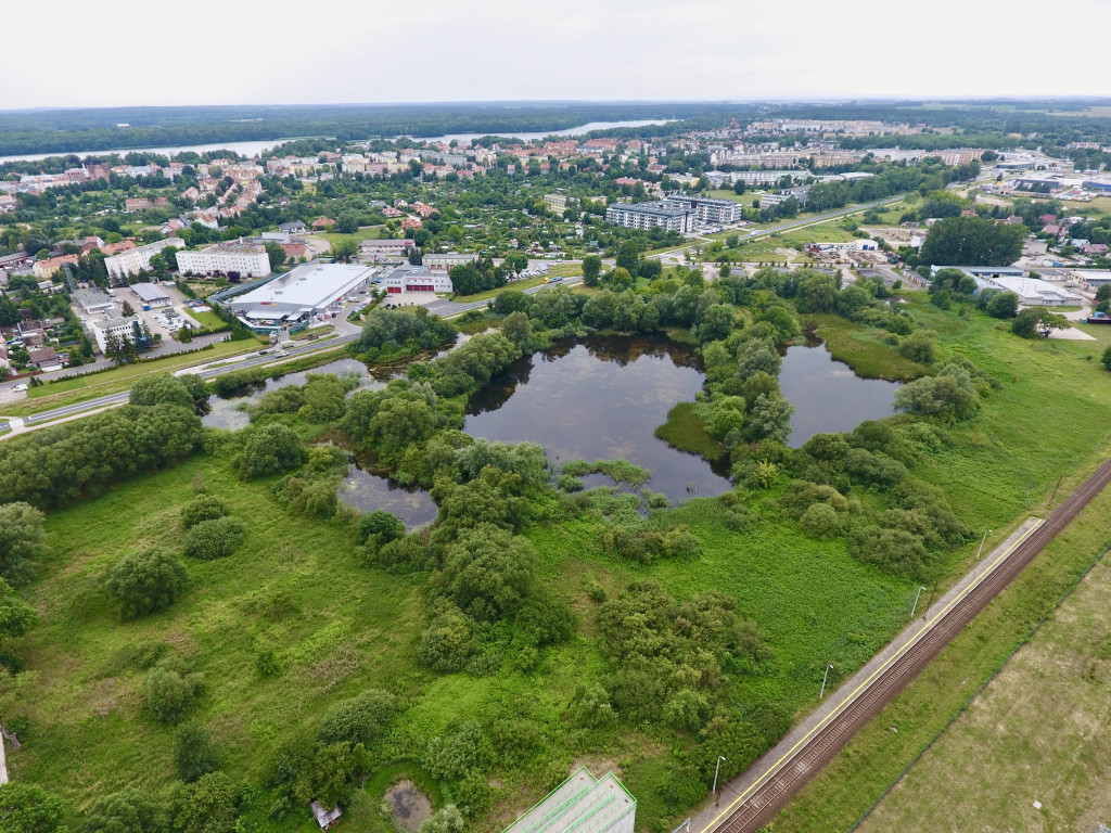 Wizualizacja Strefy Chilloutu w Szczecinku – nowe miejsce rekreacji i relaksu przy ul. Narutowicza.