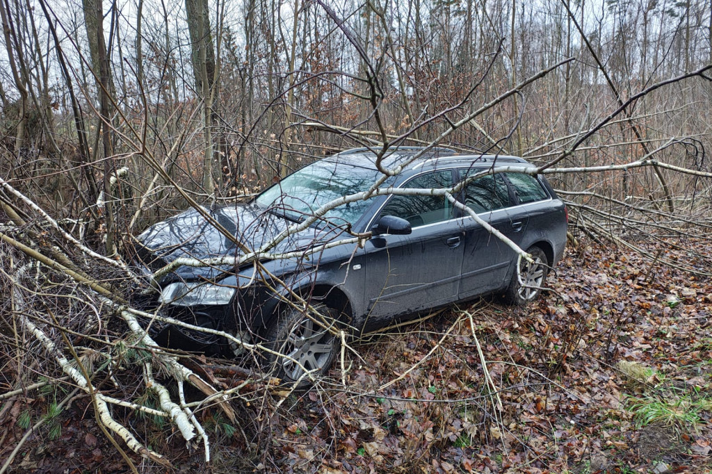 Młody kierowca stracił panowanie! Auto w krzakach