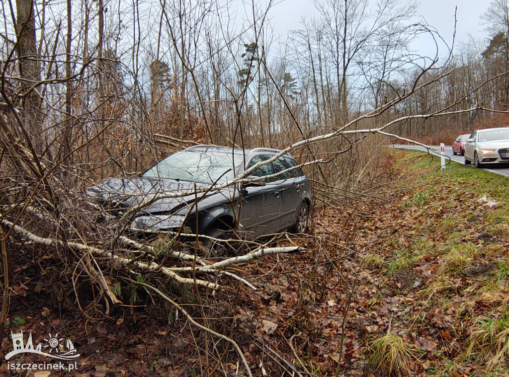 Młody kierowca stracił panowanie! Auto w krzakach