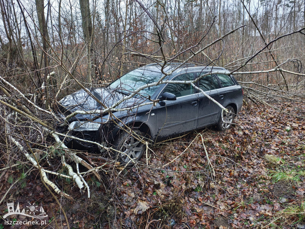 Młody kierowca stracił panowanie! Auto w krzakach