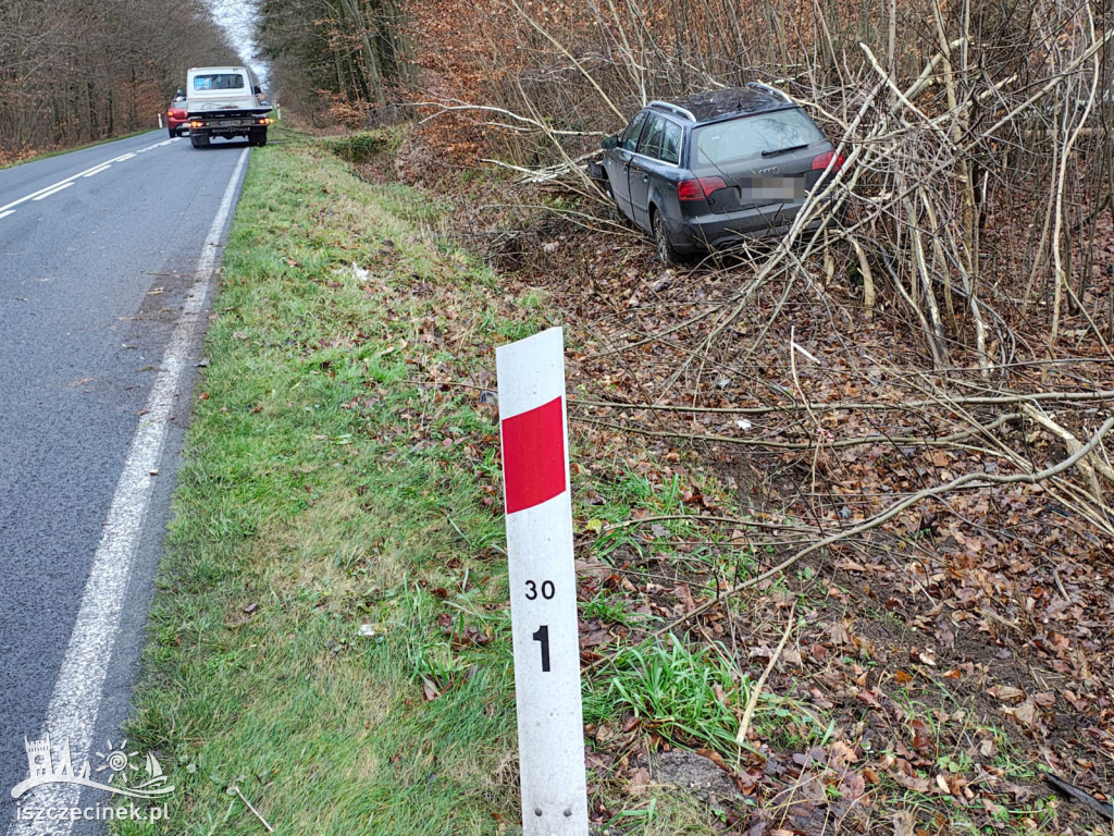 Młody kierowca stracił panowanie! Auto w krzakach