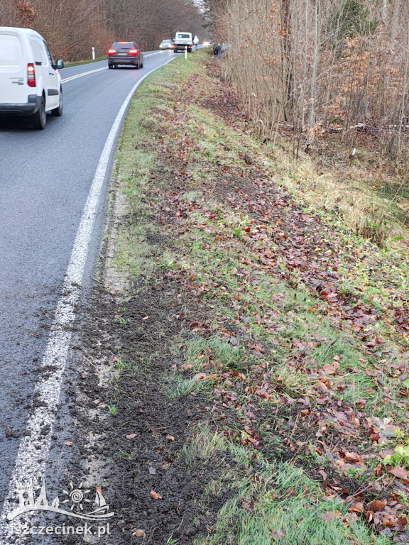 Młody kierowca stracił panowanie! Auto w krzakach