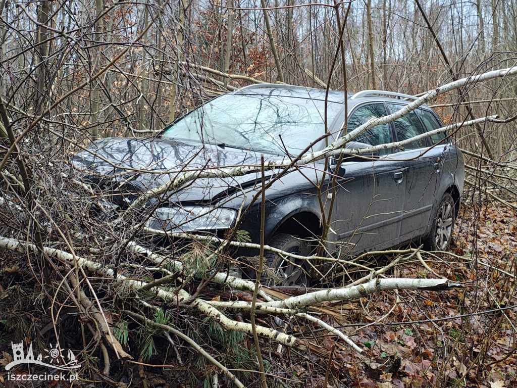 Młody kierowca stracił panowanie! Auto w krzakach