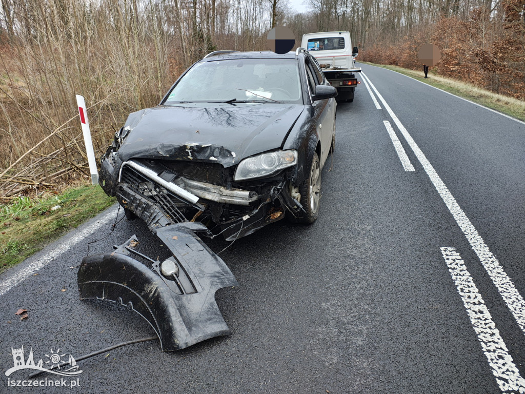 Młody kierowca stracił panowanie! Auto w krzakach