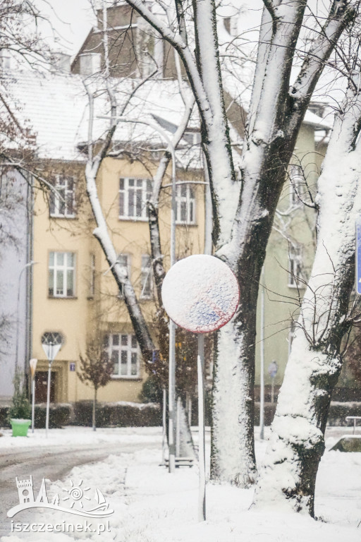 Szczecinek pod białym puchem. Zobaczcie zdjęcia