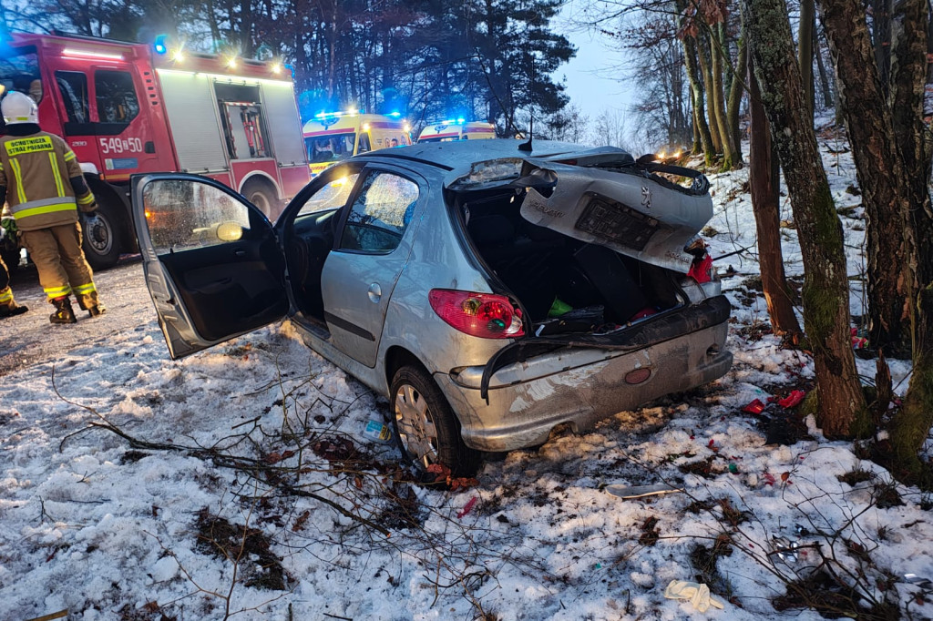 Peugeot roztrzaskany na drzewie! Kierowca trafił do szpitala
