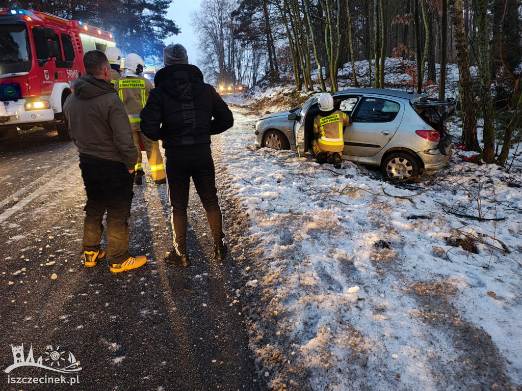 Peugeot roztrzaskany na drzewie! Kierowca trafił do szpitala