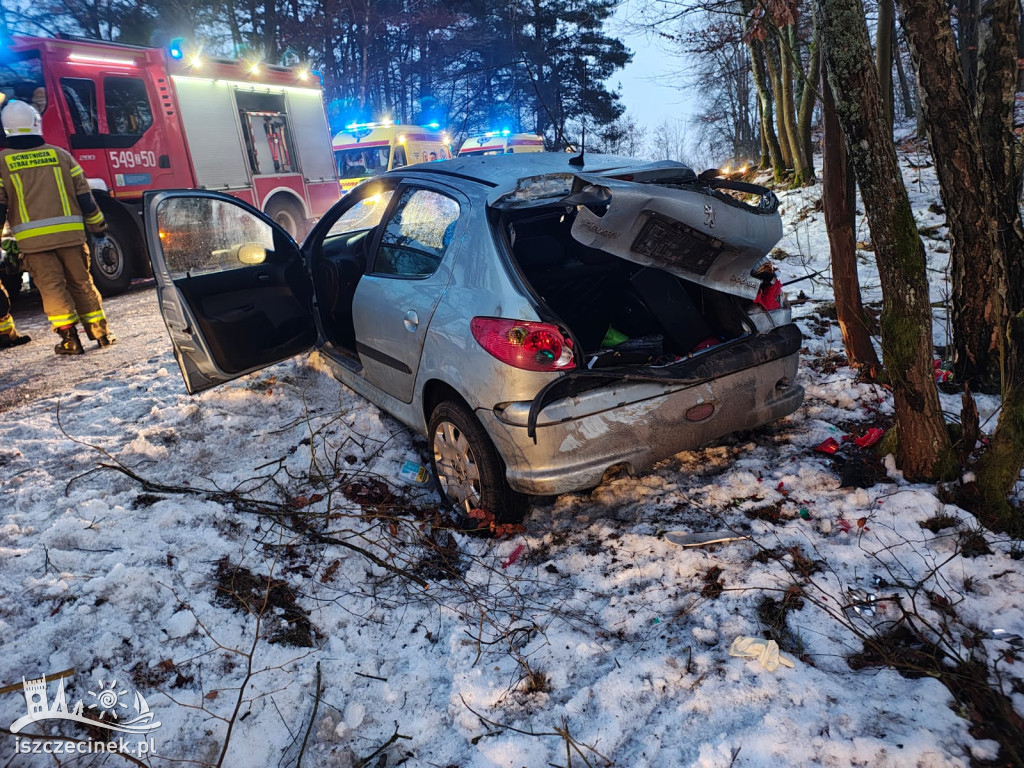 Peugeot roztrzaskany na drzewie! Kierowca trafił do szpitala