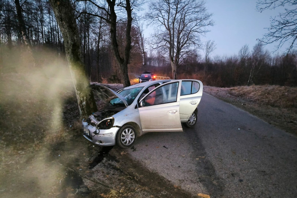 Dzik wyskoczył na drogę! Kierowca nie miał szans na wyhamowanie!