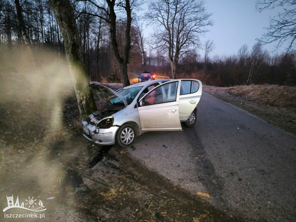 Dzik wyskoczył na drogę! Kierowca nie miał szans na wyhamowanie!