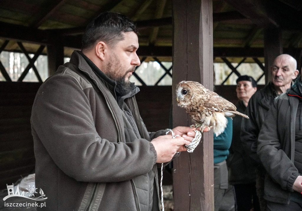 Nocne tajemnice lasu – co w nim huczy?