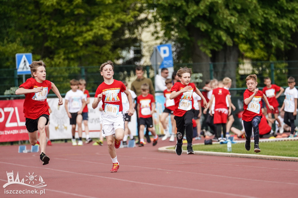 Lekkoatletyczne Nadzieje Olimpijskie - Szczecinek 2025