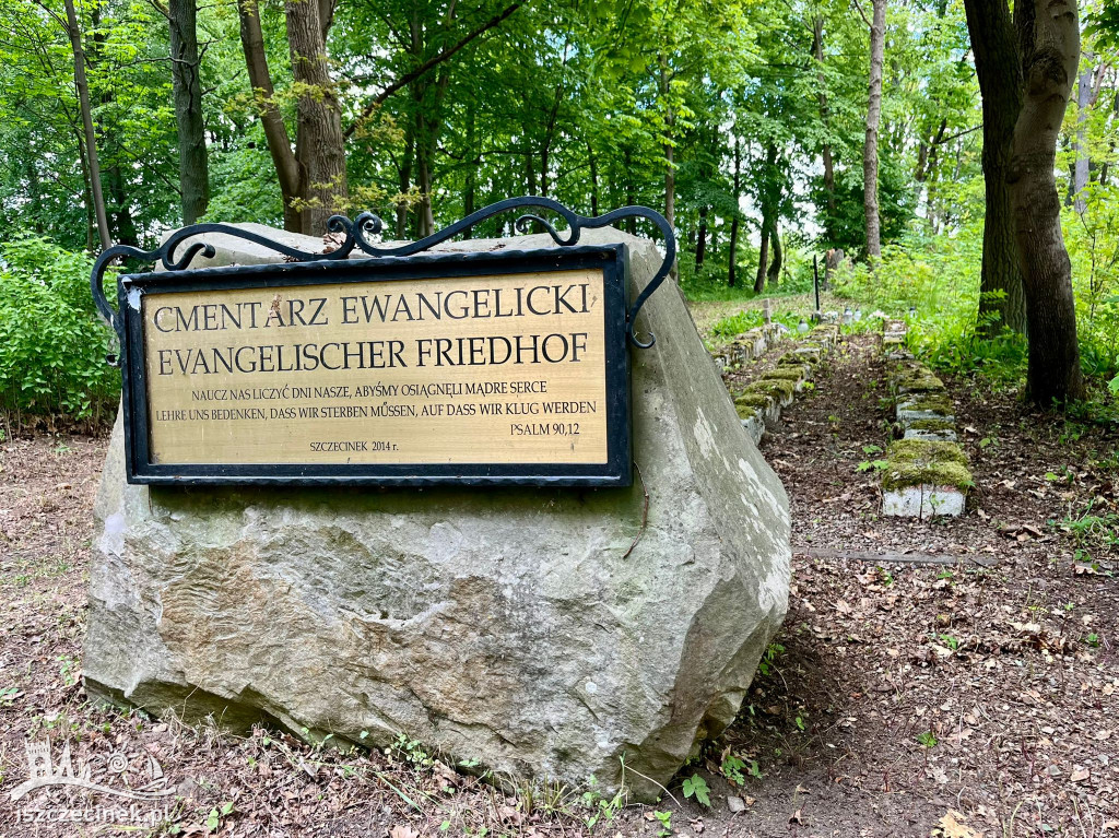 Co się stało z bratkami z centrum miasta? Zaskakujące miejsce!