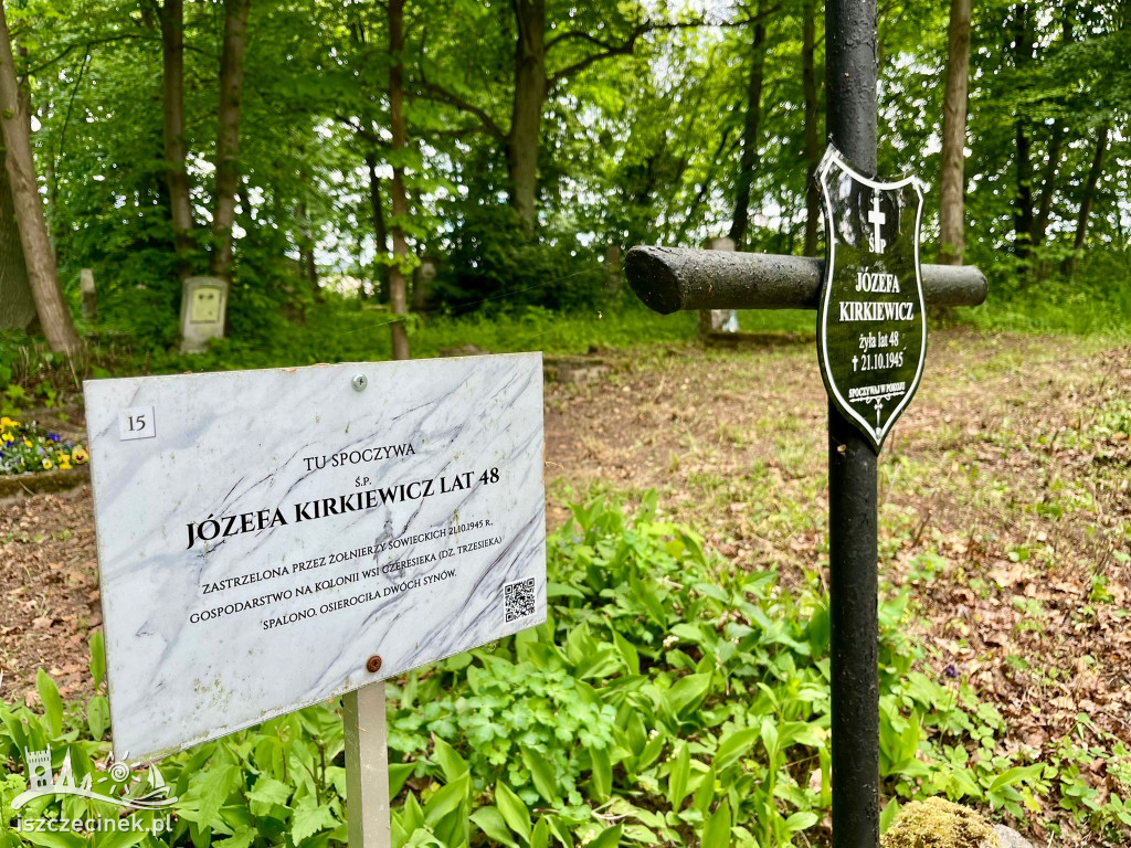 Co się stało z bratkami z centrum miasta? Zaskakujące miejsce!