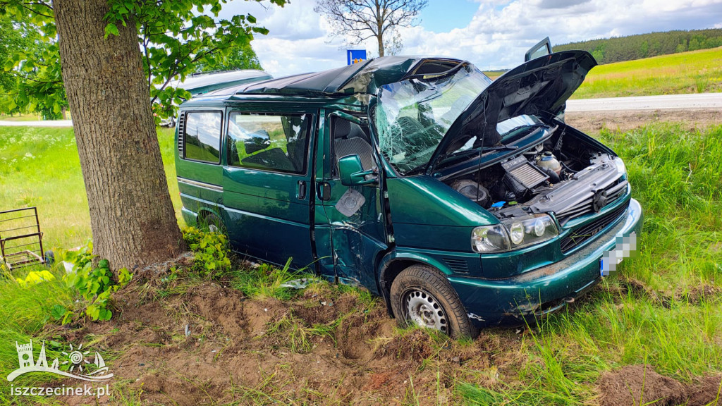 Zwierzę na drodze, bus na drzewie.