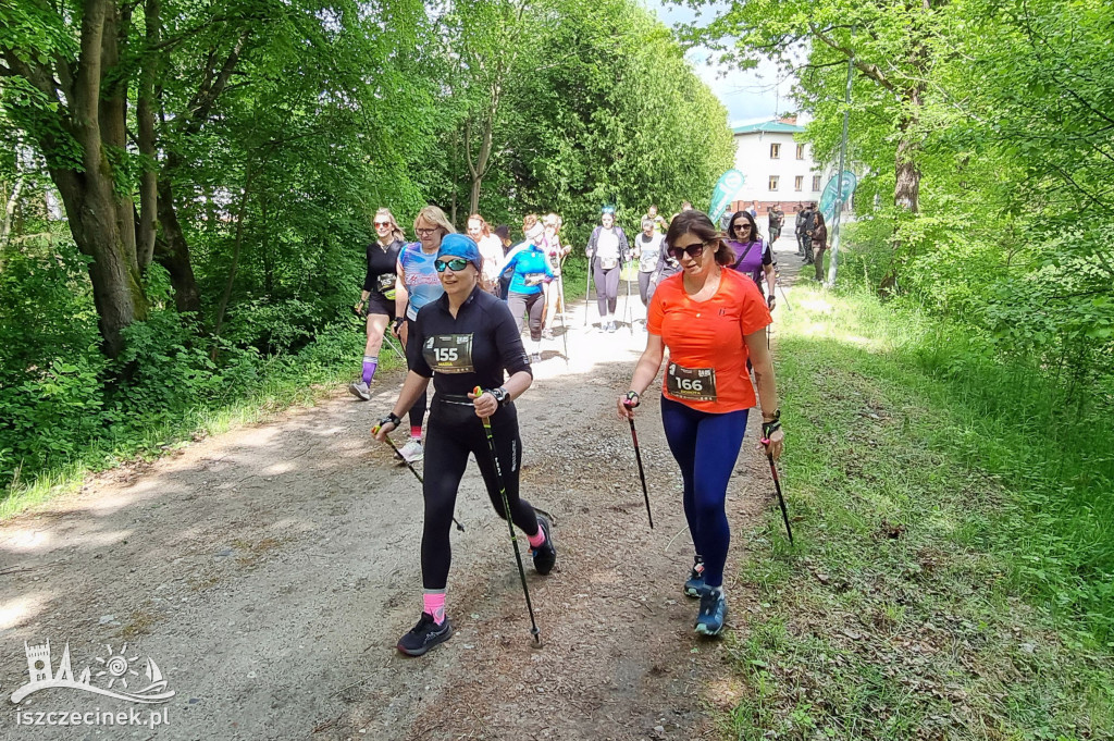Leśna przygoda w obiektywie – Czarnobór biega