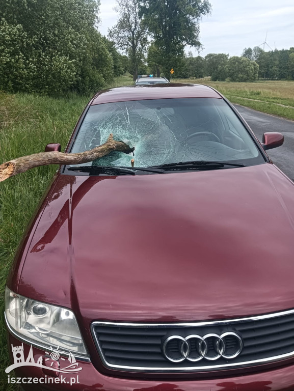 Groźny incydent na DW171. Konar przebił szybę auta.