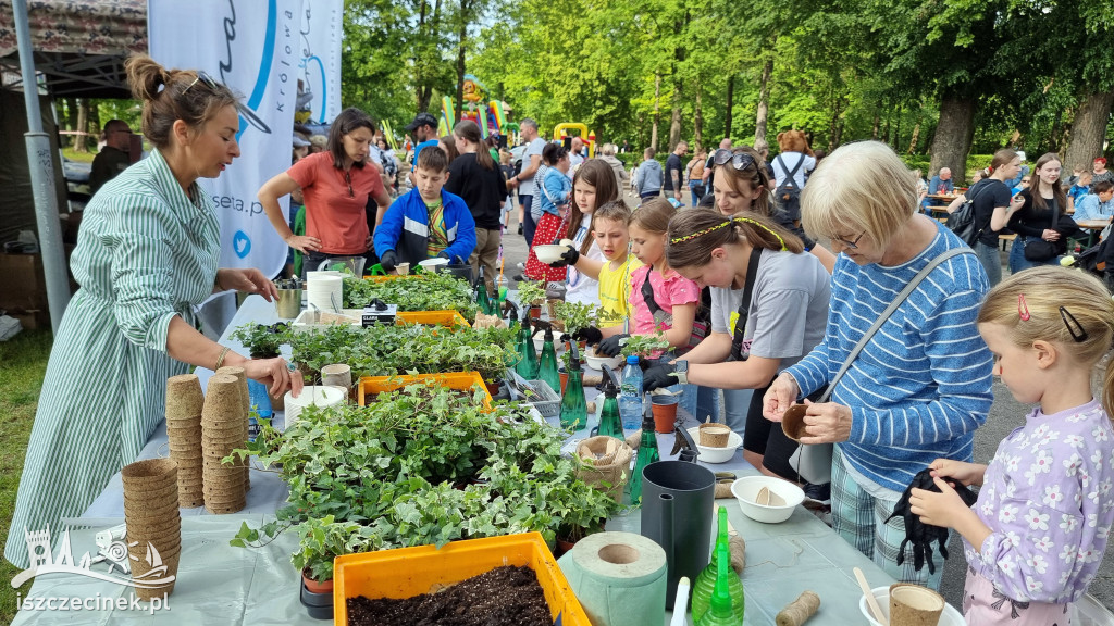 Uśmiechy i zabawa – Piknik Samorządowy w Barwicach