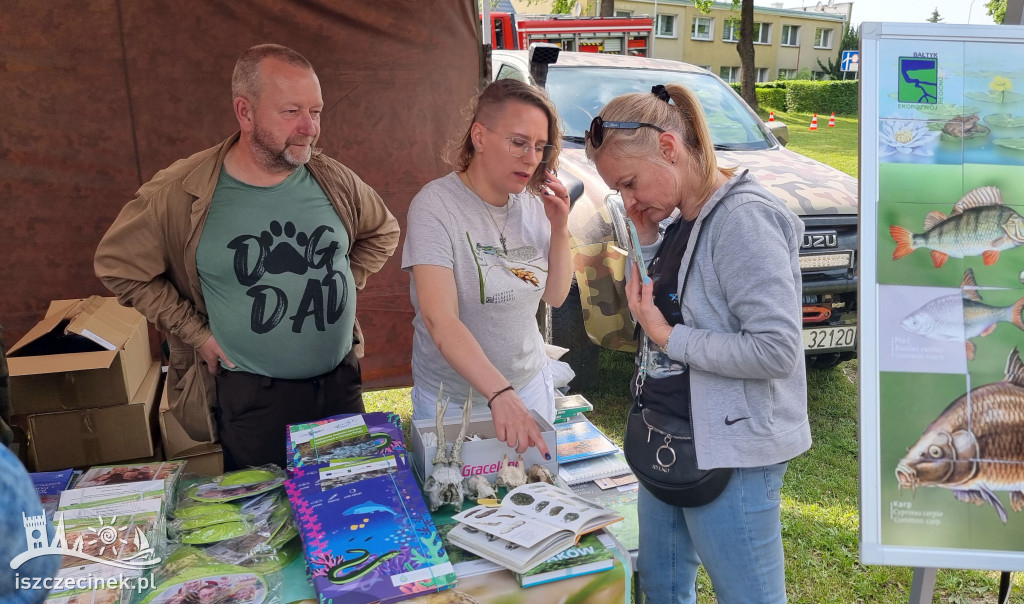 Uśmiechy i zabawa – Piknik Samorządowy w Barwicach
