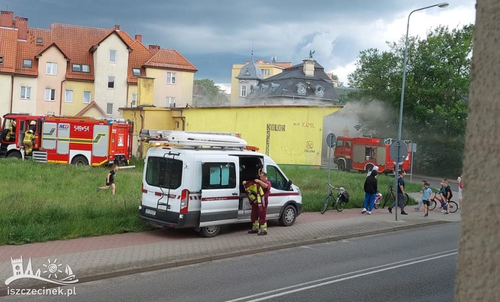 Strażacy w akcji na Zielonej – zdjęcia z pożaru