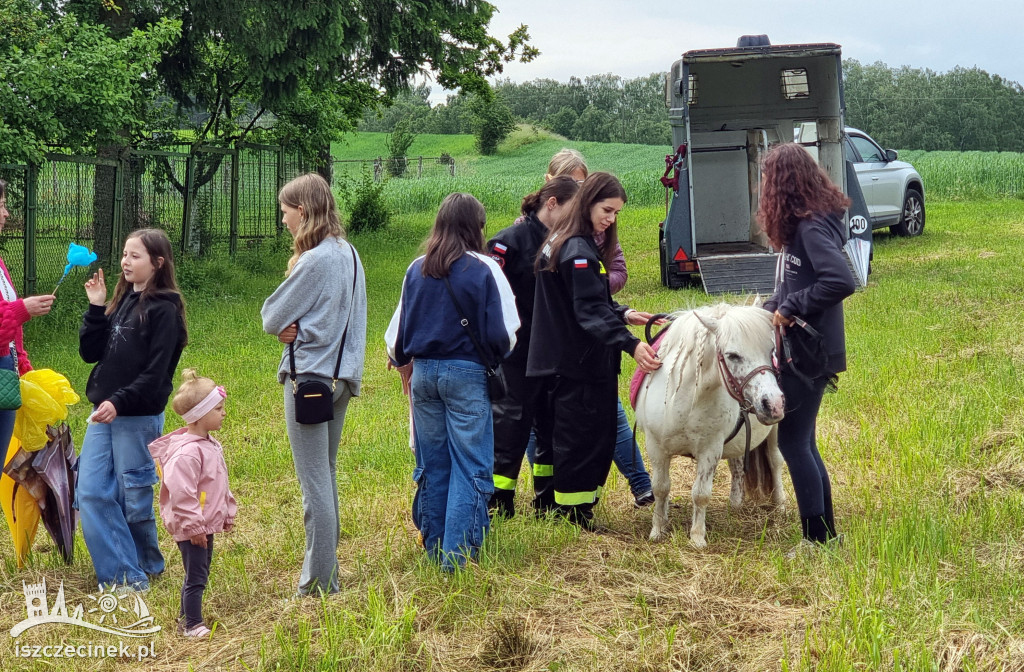 Mieszkańcy Dalęcina pokazali moc wspólnoty. Zbierali na remont kościoła