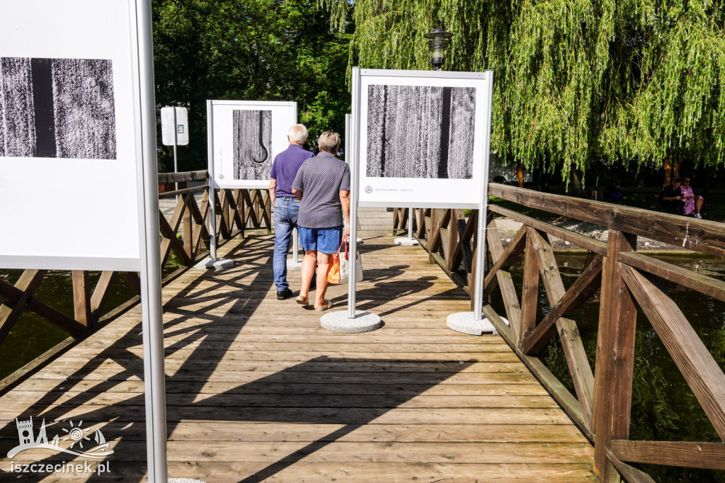 Art Piknik w obiektywie – drugi dzień festiwalu