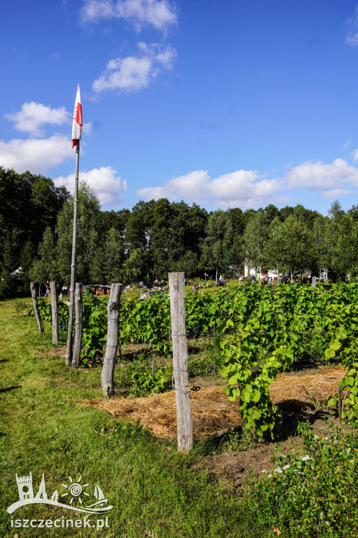 Smaki i aromaty Weekendu Otwartych Winnic