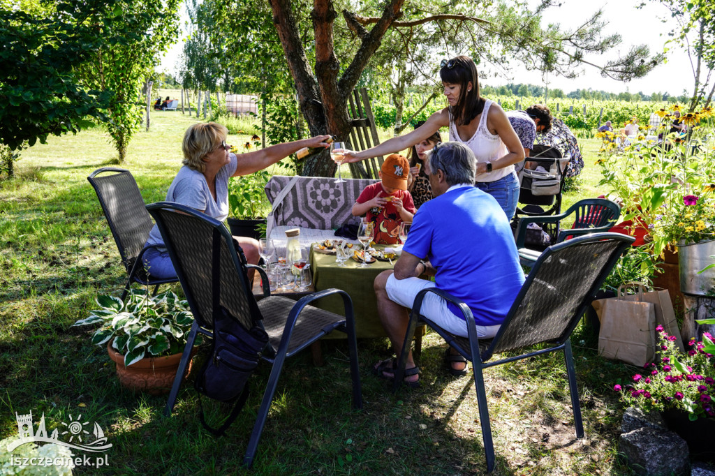 Smaki i aromaty Weekendu Otwartych Winnic