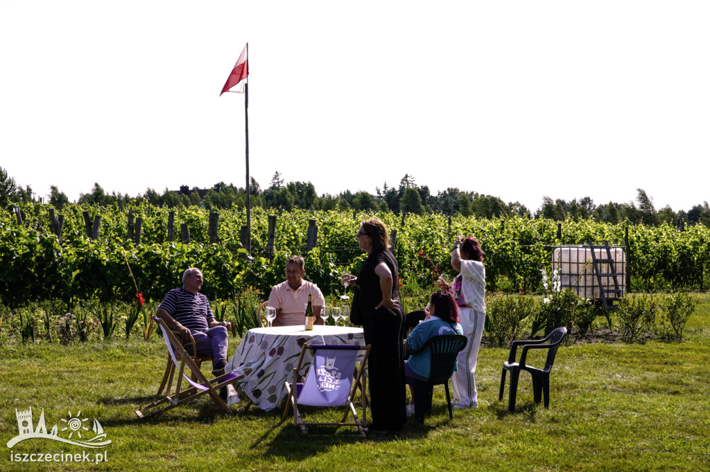 Smaki i aromaty Weekendu Otwartych Winnic