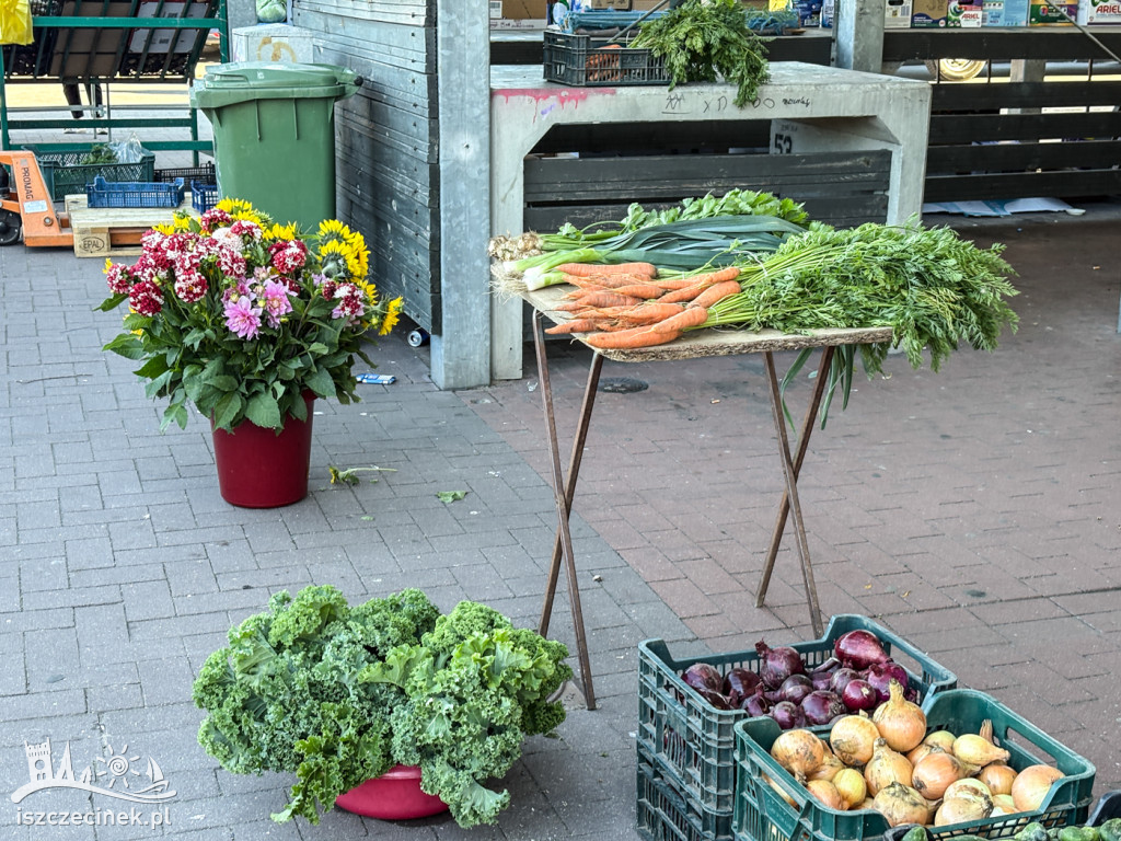 Sierpniowy rynek w obiektywie