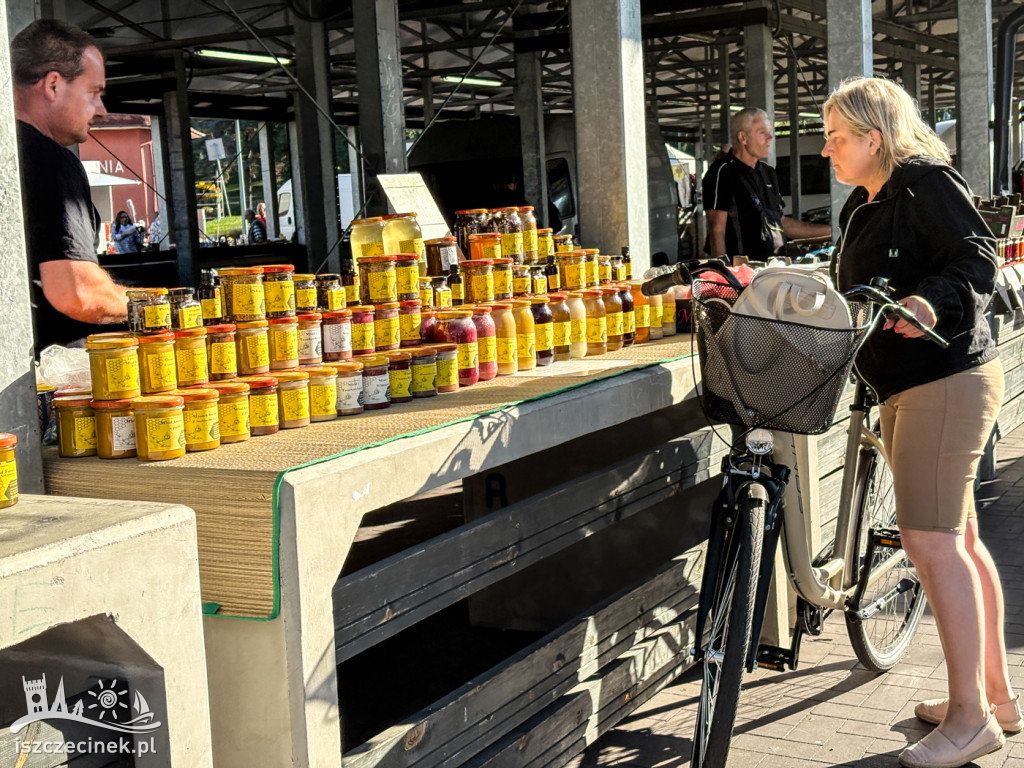 Sierpniowy rynek w obiektywie