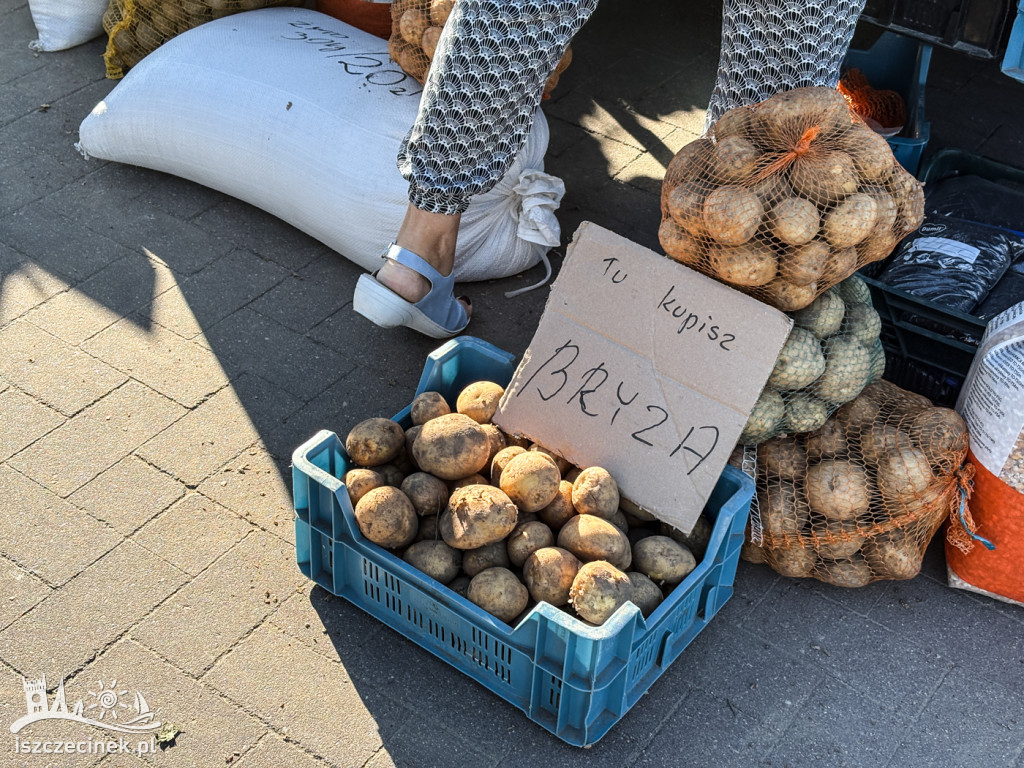 Sierpniowy rynek w obiektywie