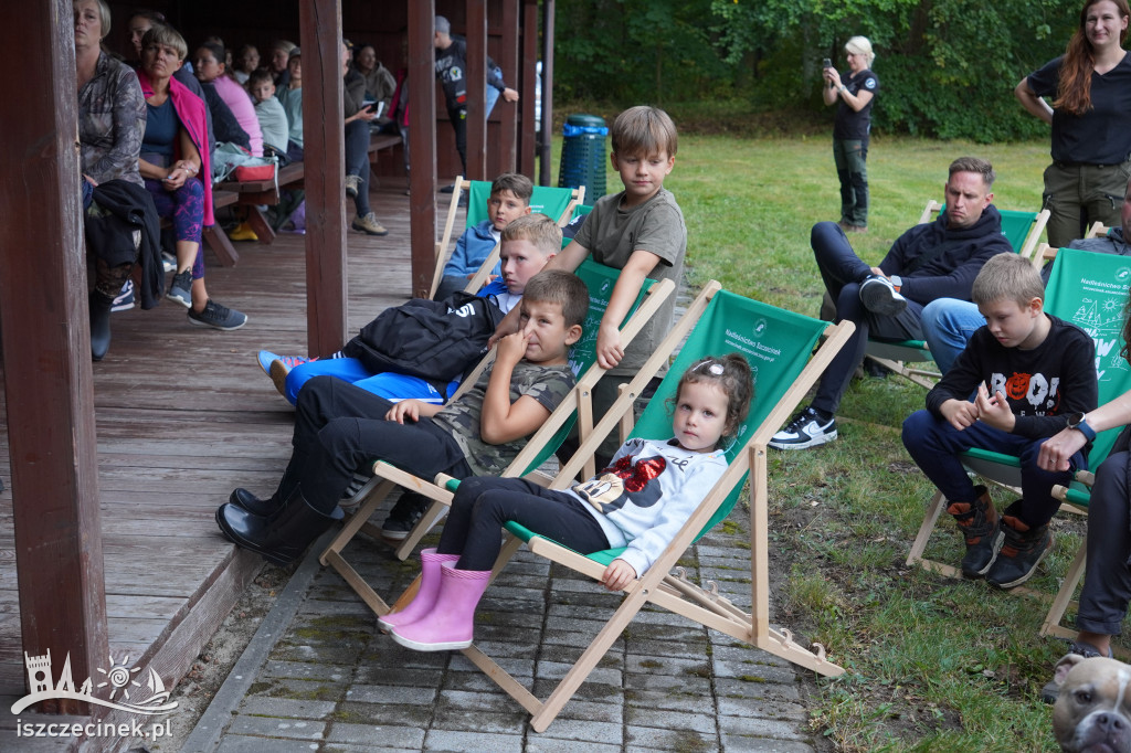 Edukacja w lesie: dzieci i dorośli o nietoperzach