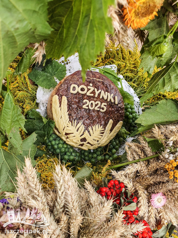 Chleb i tradycja – wyjątkowe chwile na Święcie Plonów
