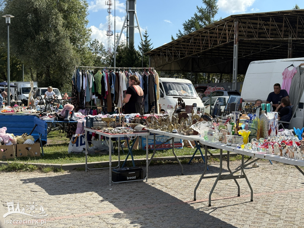Pchli targ w Szczecinku znów hitem