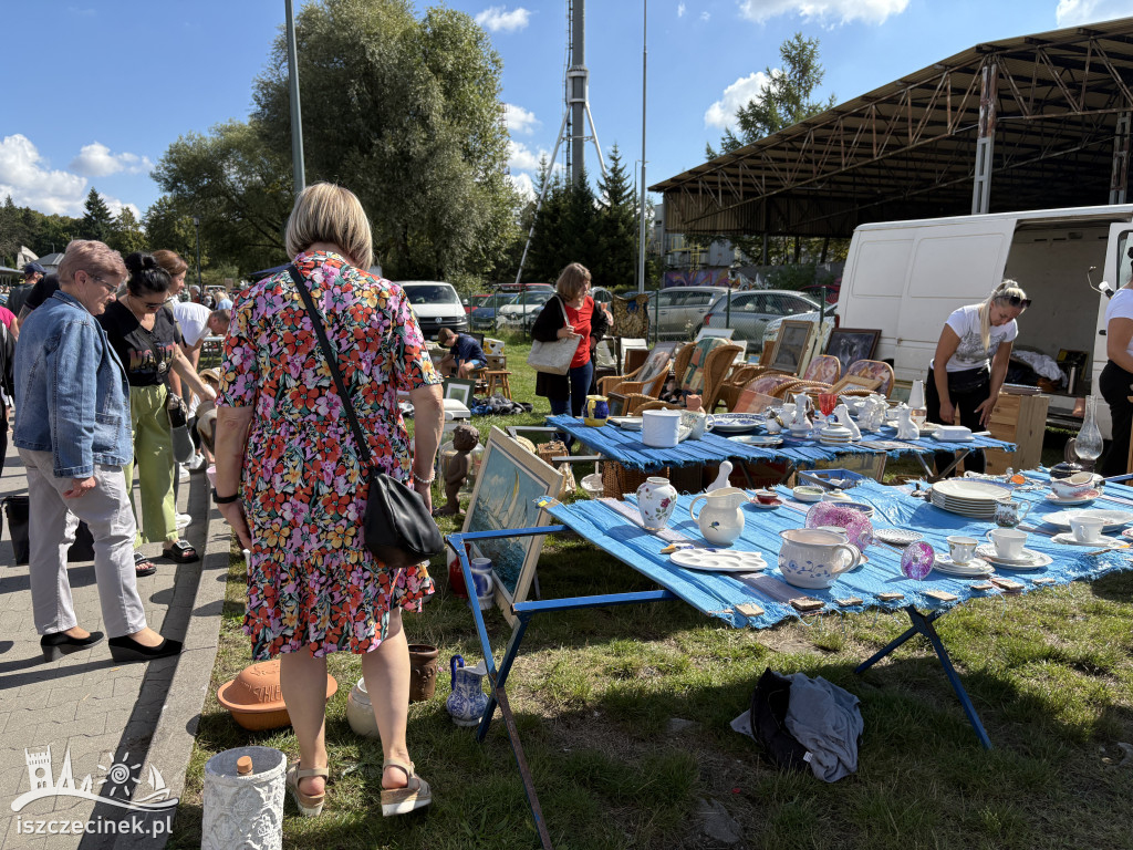 Pchli targ w Szczecinku znów hitem