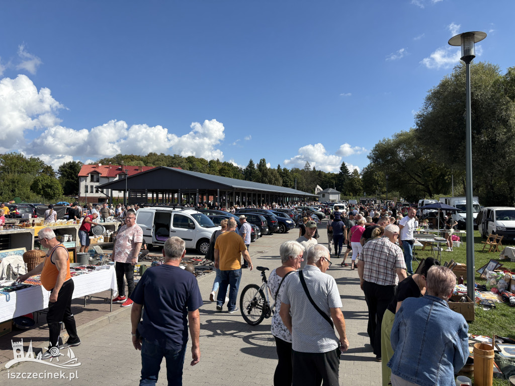Pchli targ w Szczecinku znów hitem