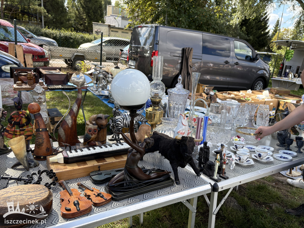 Pchli targ w Szczecinku znów hitem