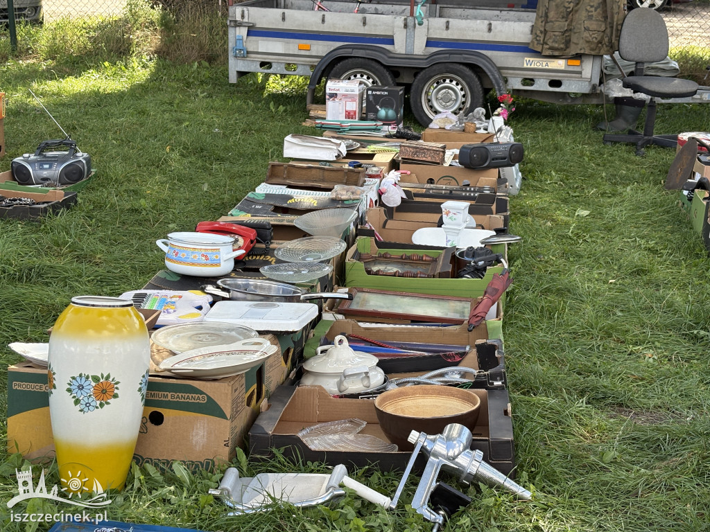 Pchli targ w Szczecinku znów hitem
