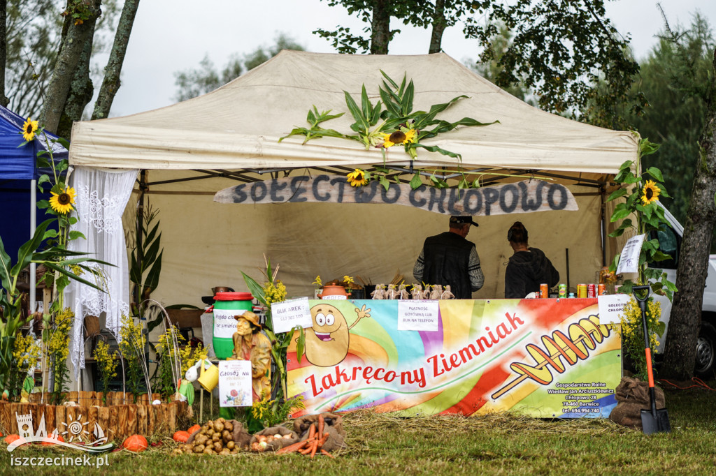 Tak bawią się mieszkańcy na Dożynkach Powiatowych