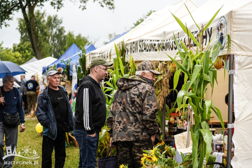 Tak bawią się mieszkańcy na Dożynkach Powiatowych