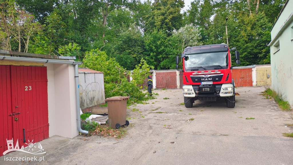 Drzewo runęło na garaże przy ul. Koszalińskiej