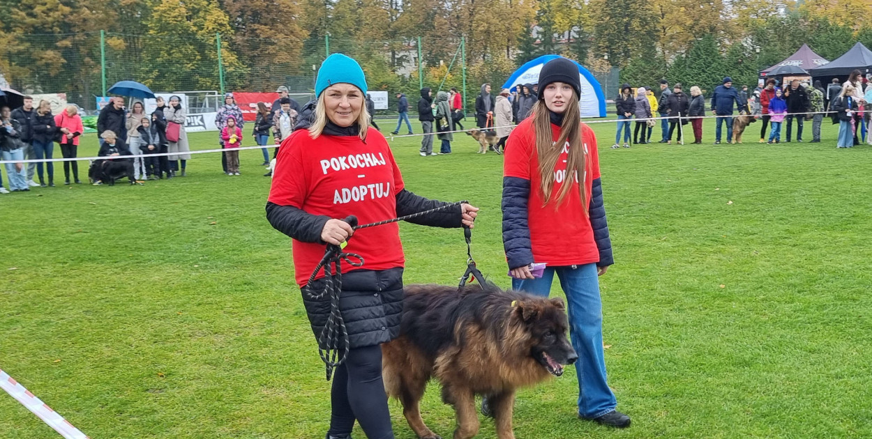 Tak wyglądała wystawa psów w Szczecinku