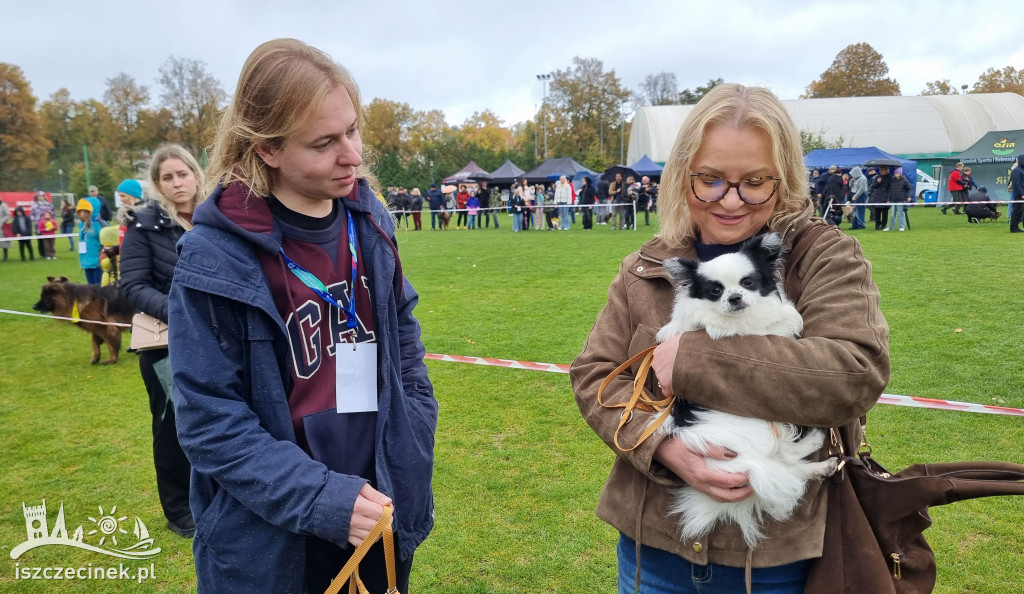 Tak wyglądała wystawa psów w Szczecinku