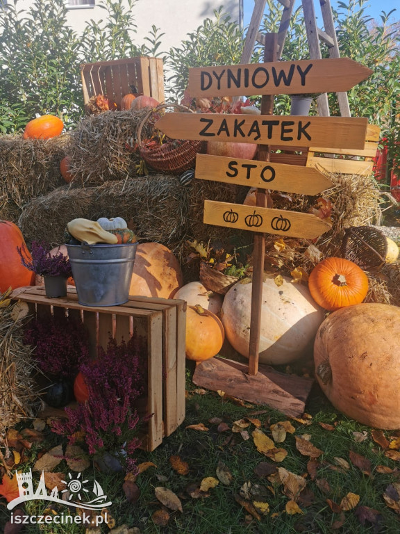 Rodzinny festyn w złoto-pomarańczowych barwach