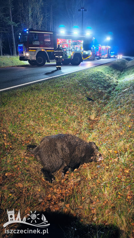 Nocny dramat pod Szczecinkiem – zdjęcia z miejsca zdarzenia