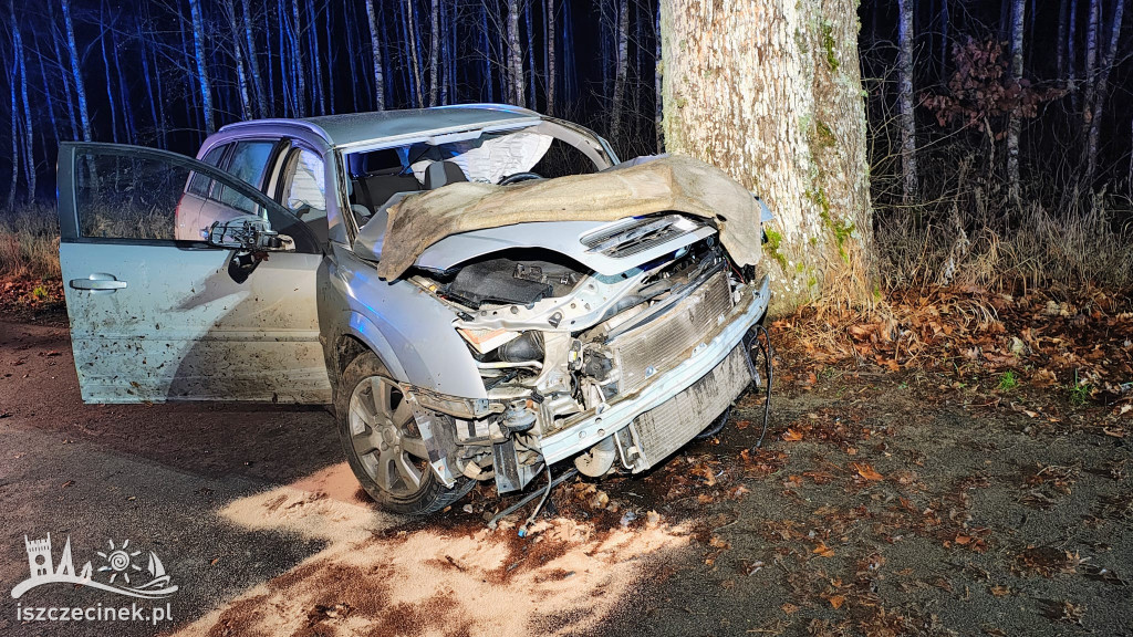 Poważny wypadek pod Storkowem. Opel uderzył w drzewo