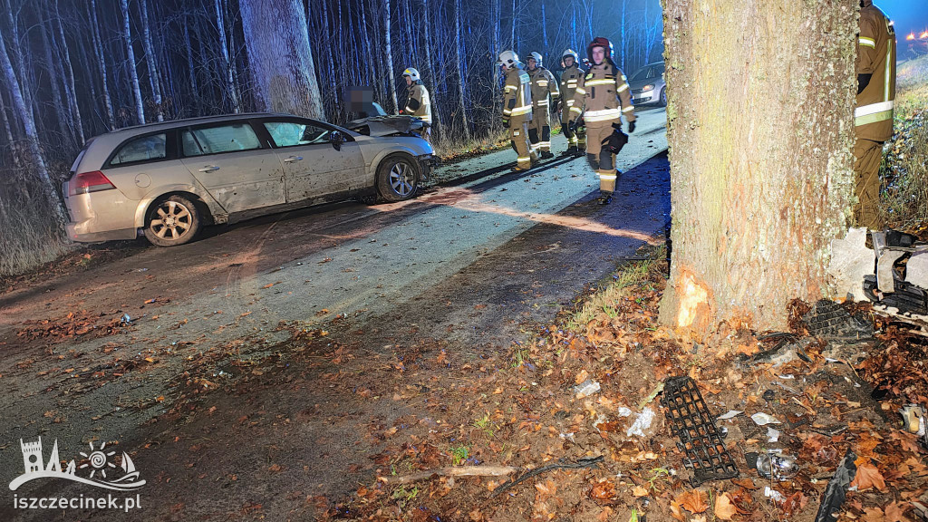 Poważny wypadek pod Storkowem. Opel uderzył w drzewo