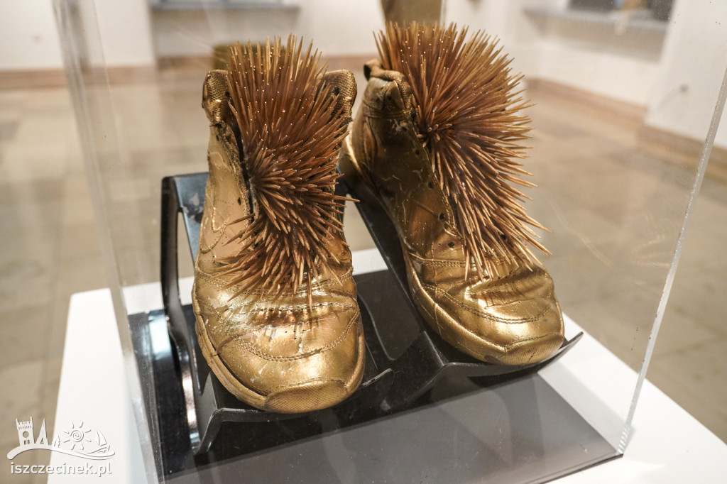 Wernisaż „W cieniu światła” – Galeria Zamek