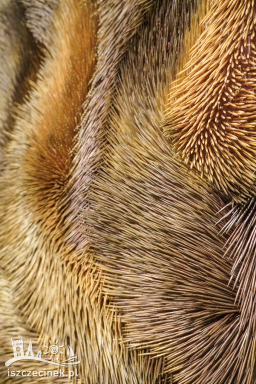 Wernisaż „W cieniu światła” – Galeria Zamek